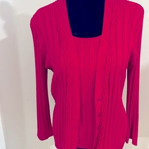 Ellen Tracy Sweater Set